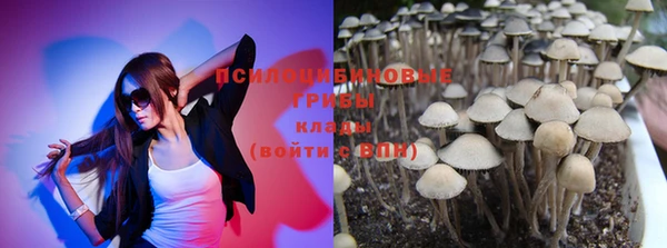 прущие грибы Навашино