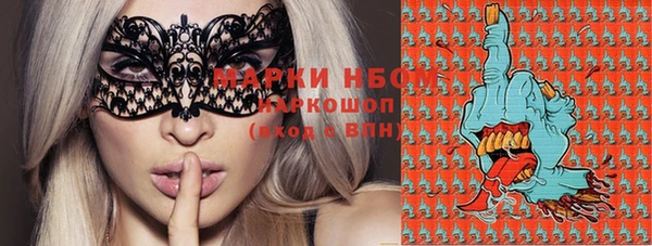 прущие грибы Навашино