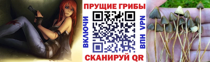 Галлюциногенные грибы GOLDEN TEACHER Новая Ляля